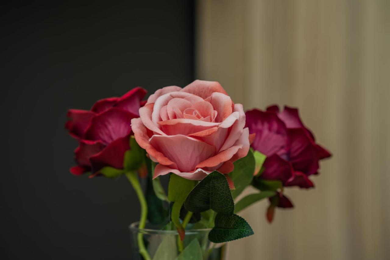 Maestro - Rooms & Restaurant Vukovar Ngoại thất bức ảnh